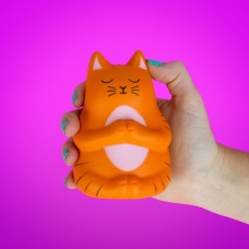 Meow-ditation Stress Toy